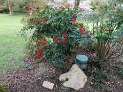 149 PARC ORIENTAL DE MAULEVIER MAINE ET LOIRE 2016 N0_000027